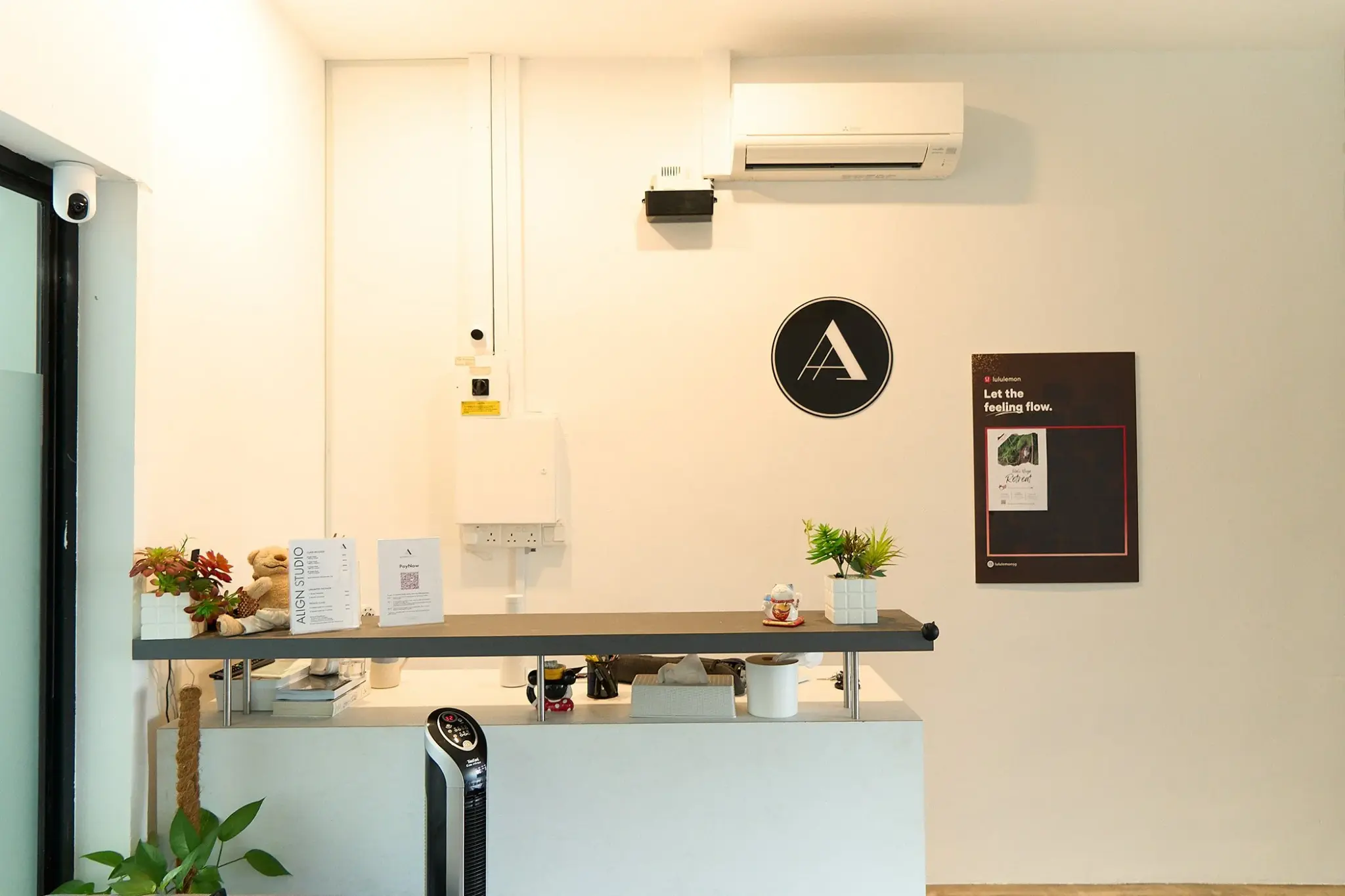 The studio reception counter, with the round Align logo on the wall behind it